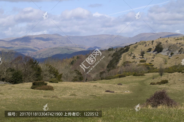 約克郡谷地-匯圖網(wǎng) www.fosd68.com 約克郡谷地