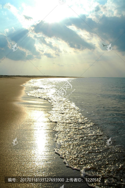 海灘的海岸線