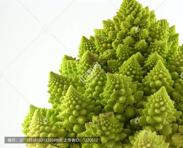 寶塔花菜