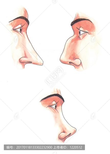 身體部位:鼻子-匯圖網(wǎng) www.fosd68.com 身體部位:鼻子