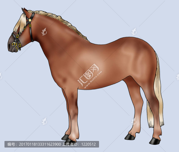 小馬品種:Haflinger-匯圖網(wǎng) www.fosd68.com 小馬品種:Haflinger