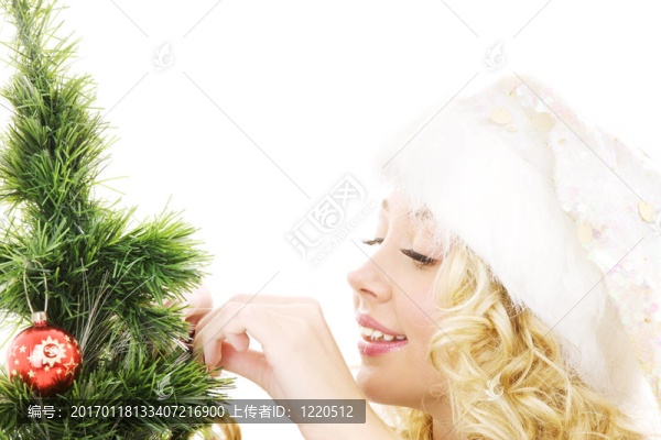 圣誕樹裝飾圣誕助手