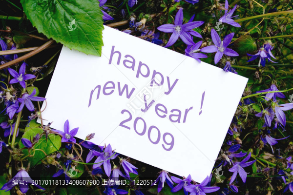 年2009