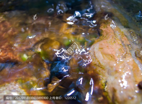 五顏六色的水21-匯圖網(wǎng) www.fosd68.com 五顏六色的水21