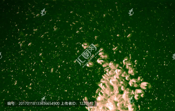 泡沫組織