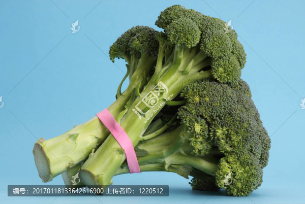 西蘭花-匯圖網(wǎng) www.fosd68.com 西蘭花