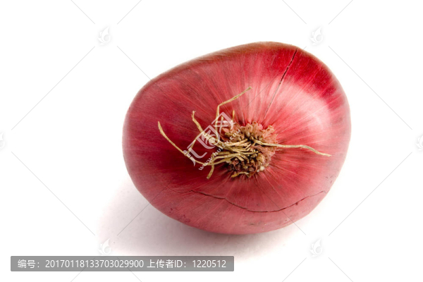 紅洋蔥