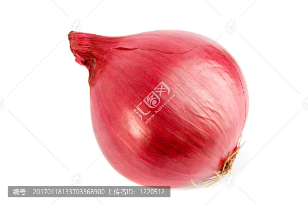 只是洋蔥