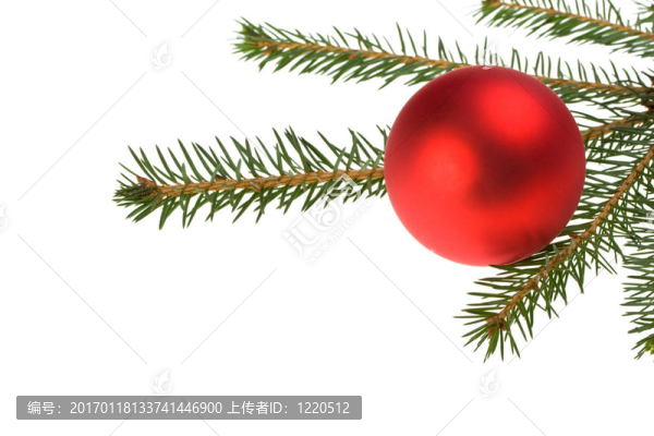 球和樹枝