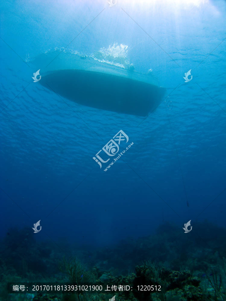 鱷魚島潛水船在礁石上