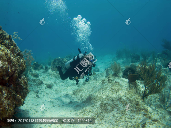 潛水員在開曼島游泳