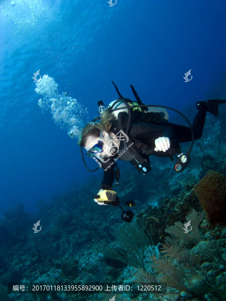 水下攝影師在礁石上游泳