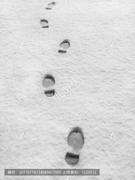 雪中的腳印