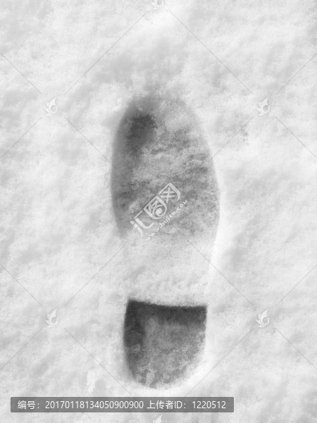 雪中的腳印