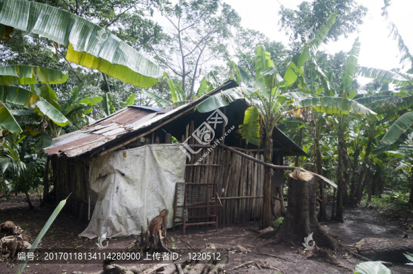 典型住宅尼加拉瓜玉米島
