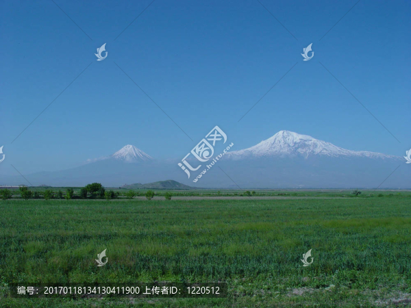 Ararat山。