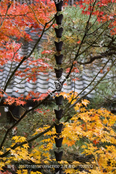 日本的秋天