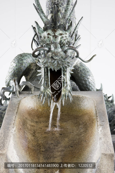 日本龍水