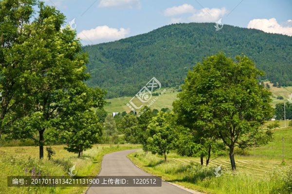 波蘭；bystre,Bieszczady；