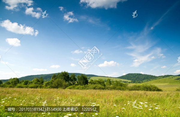波蘭；bystre,Bieszczady；