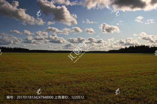 夏天的田野