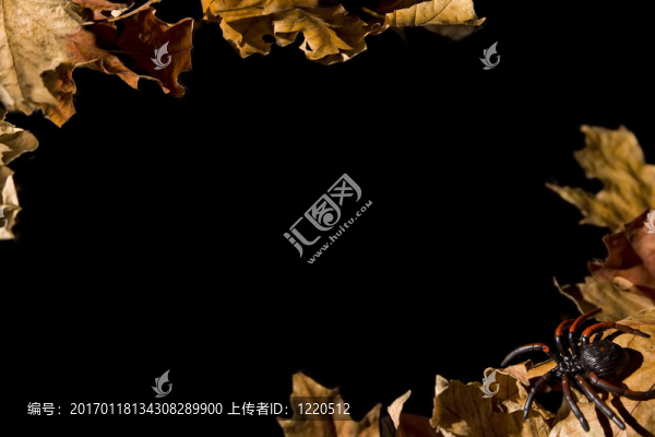 黑色萬(wàn)圣節(jié)系列