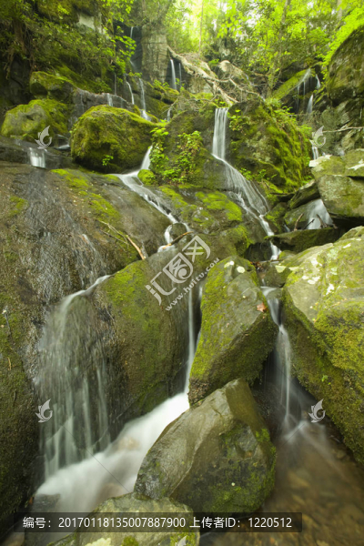 Cliff,Branch,Falls；大煙山脈NP；TN