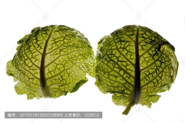 薩瓦細(xì)節(jié)