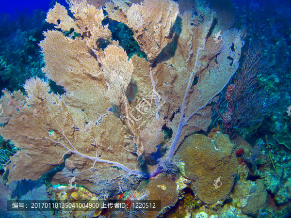 關(guān)閉一個(gè)海上風(fēng)機(jī)-匯圖網(wǎng) www.fosd68.com 關(guān)閉一個(gè)海上風(fēng)機(jī)