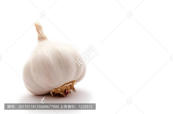 蒜頭