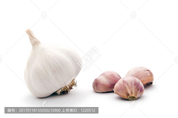 蒜頭