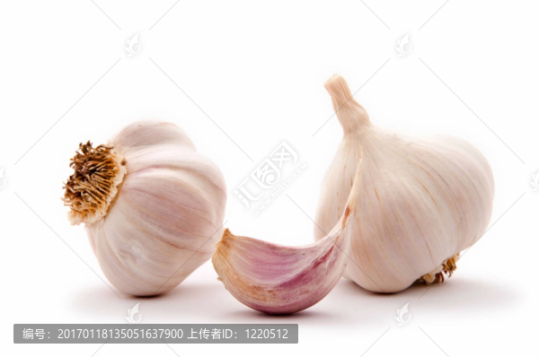 蒜頭