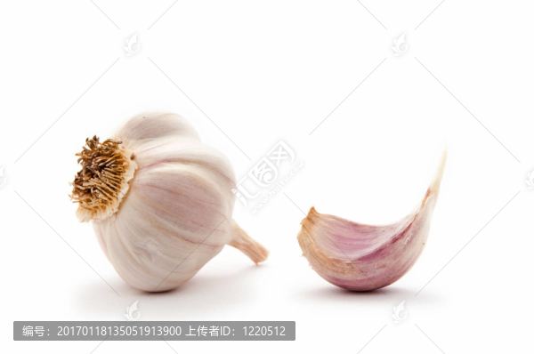 蒜頭