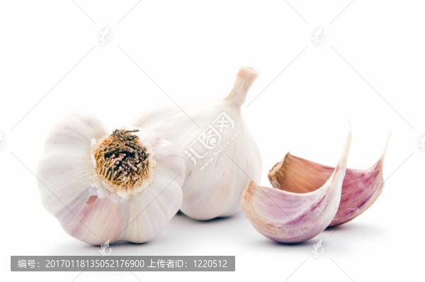 蒜頭-匯圖網(wǎng) www.fosd68.com 蒜頭