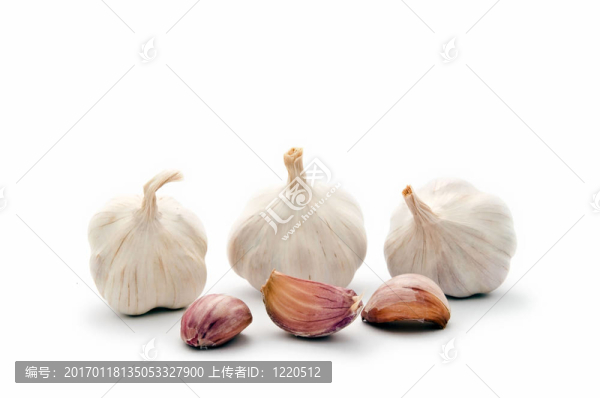 蒜頭