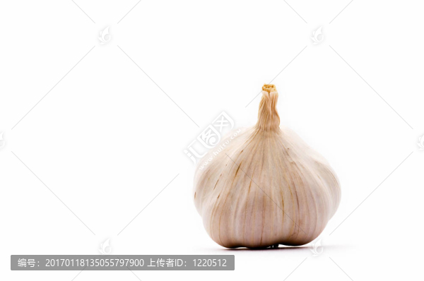 蒜頭