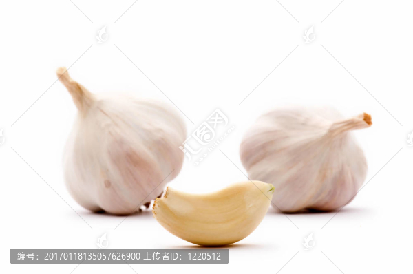 蒜頭