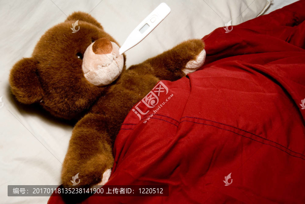 生病的泰迪熊