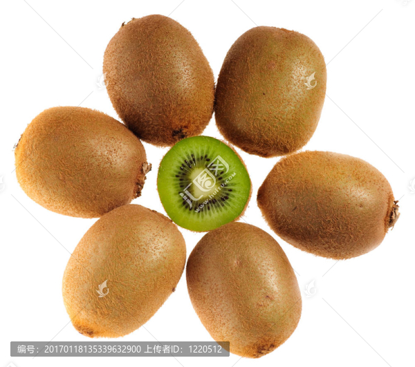 許多獼猴桃-匯圖網(wǎng) www.fosd68.com 許多獼猴桃