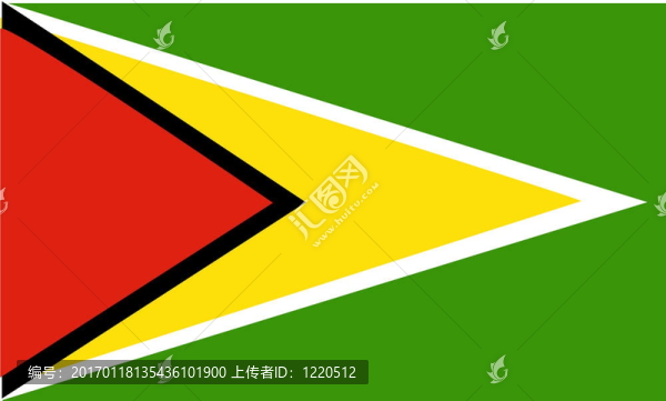 圭亞那國旗