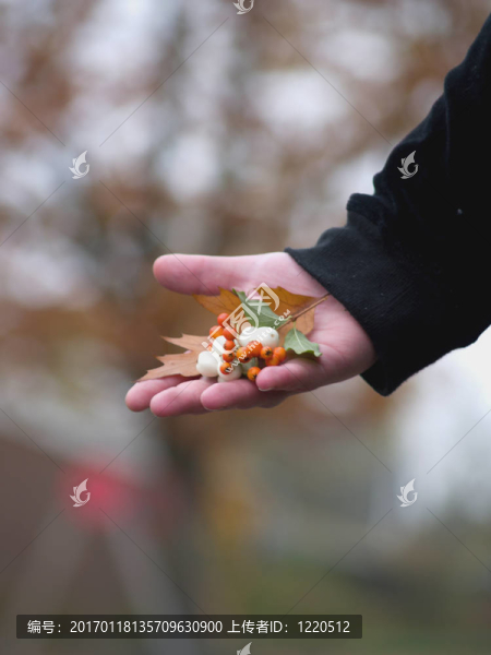 人類手提供自然的禮物