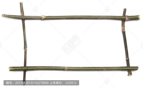 枝架
