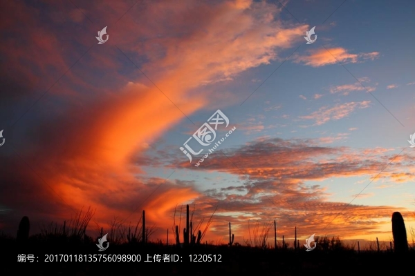 天空光