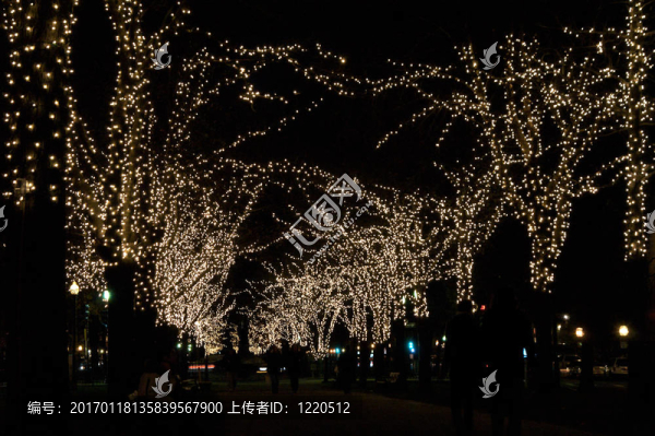 節(jié)日燈