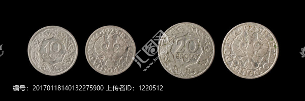 老波蘭的硬幣