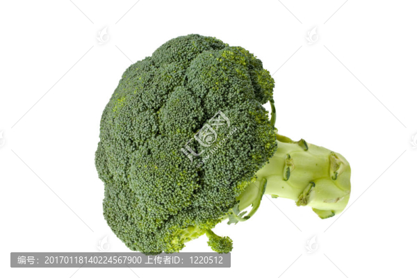 綠花椰菜分離