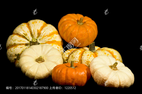 觀賞葫蘆