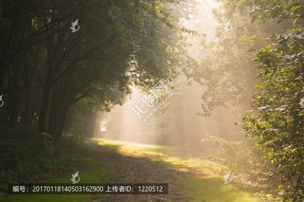 九月的早晨的太陽