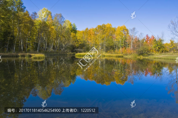 平靜的水面