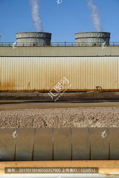 能源植物-匯圖網(wǎng) www.fosd68.com 能源植物